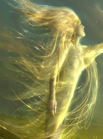 [日本][剧情][没穿内裤的添乘员][D9/AVI/801MB][中文字幕]