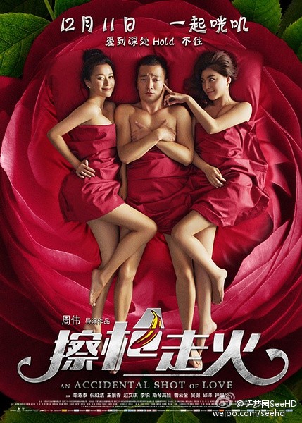 擦枪走火 An Accidental Shot of Love 2015 1080p WEB-DL x264 AAC 中英字幕 2.46G