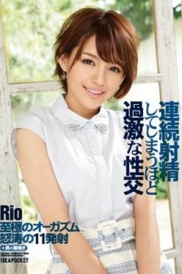 [IPZ-536] 連続射精してしまうほど過激な性交 Rio