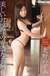 [ABP-254] 美しいお嬢様の卑猥なる飼育 北野のぞみ