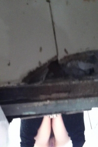 私拍表妹尿尿，好像来经期了哦[13P]