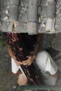野战图集